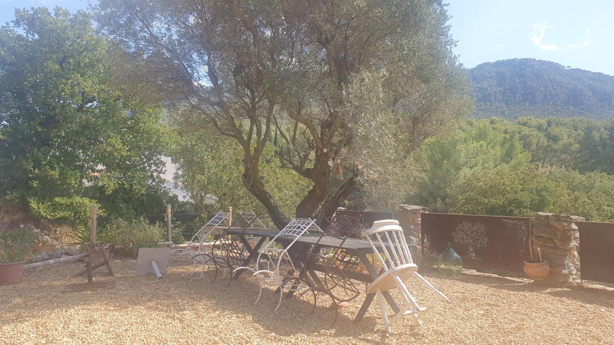 Bienvenue Apartman Le Revest-le-Eaux Kültér fotó